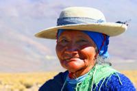 In The Argentinian Altiplano